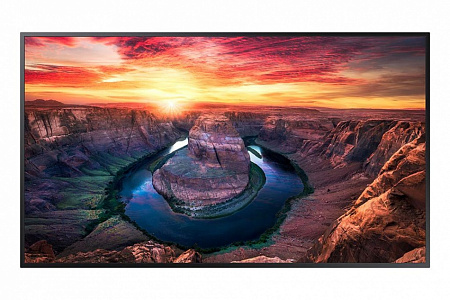 ЖК-панель Samsung QM43B 43"