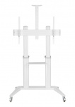 Стойка мобильная Digis DSM-P7106C