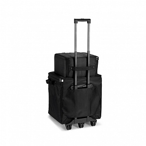 Комплект аксессуаров LD Systems DAVE 10 G4X BAG SET