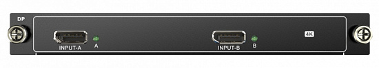 Плата бесподрывная входная Digis VWP-I2-S4K30-DP