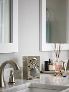 Портативный радиоприемник Tivoli PAL BT Цвет: Хром [Chrome]